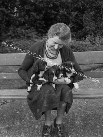 LADY WITH 4 PUPS